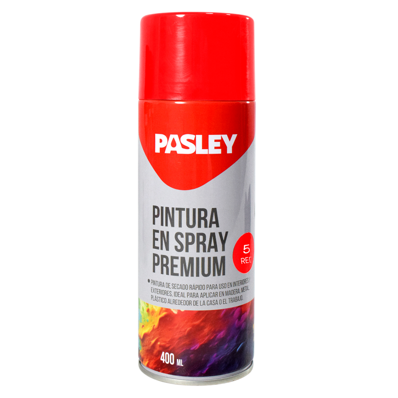 Pintura 400 ml (G. W. 330g) Pasley