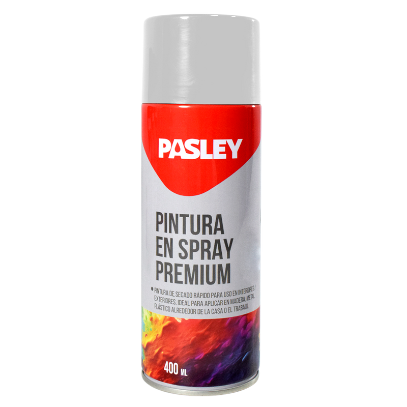 Pintura 400 ml (G. W. 330g) Pasley