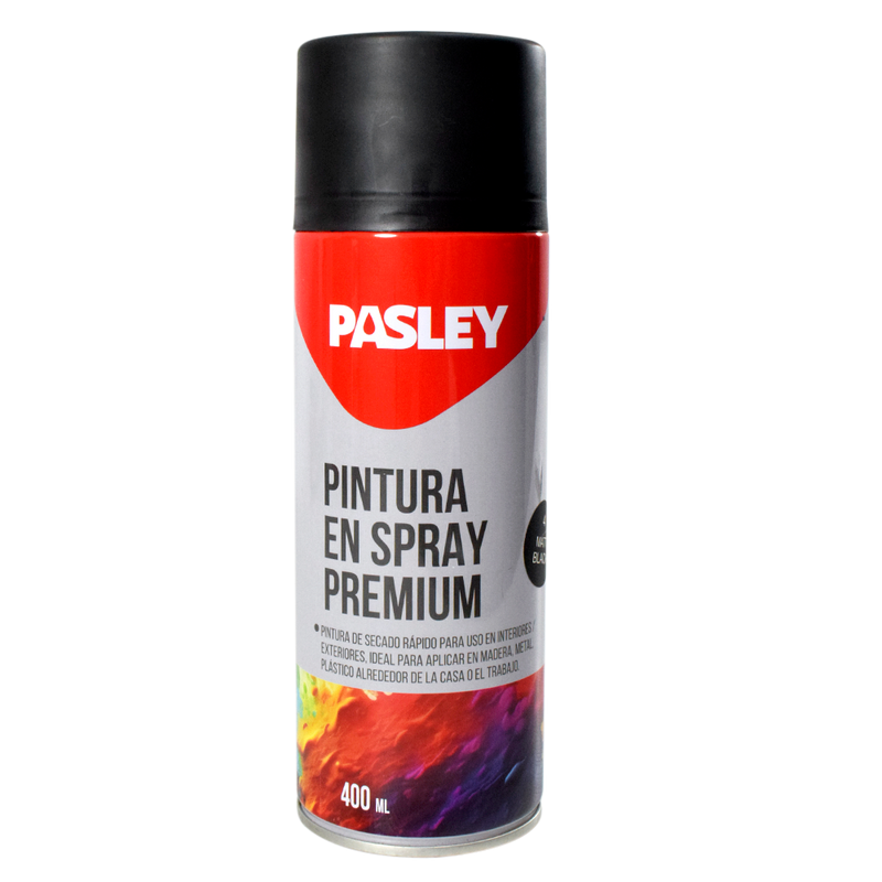Pintura 400 ml (G. W. 330g) Pasley