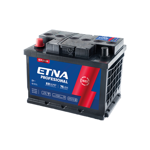 Bateria 13 Placas 12vc (W-13z) Etna